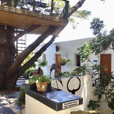 Oceangolf Guest House Noordhoek Eksteriør bilde